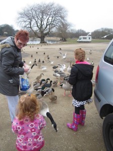 children feeding ducks