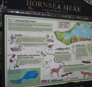 things to do in Hornsea Yorkshire