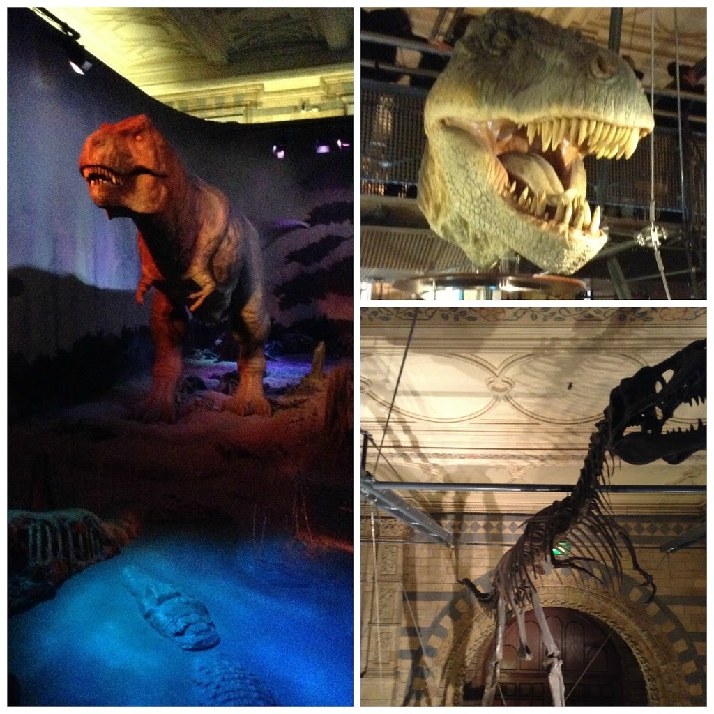 Natural-History-Museum-dinosaurs