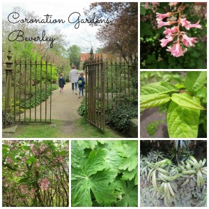 Coronation Gardens Beverley