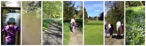 Elsham Hall Gardens and Country Park