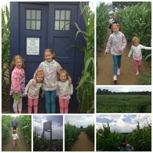 Doctor Who Maze at York Maze