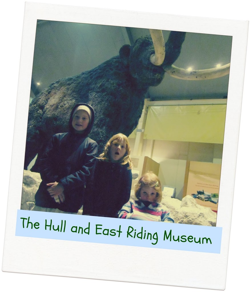 Hull and East Riding Museum