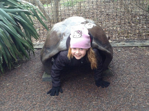 London Zoo human turtle