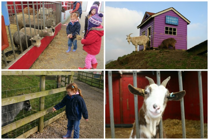 Red Rooster Farm at Twinlakes Park