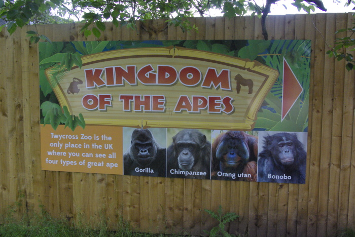 Kingdom of the Apes at Twycross Zoo