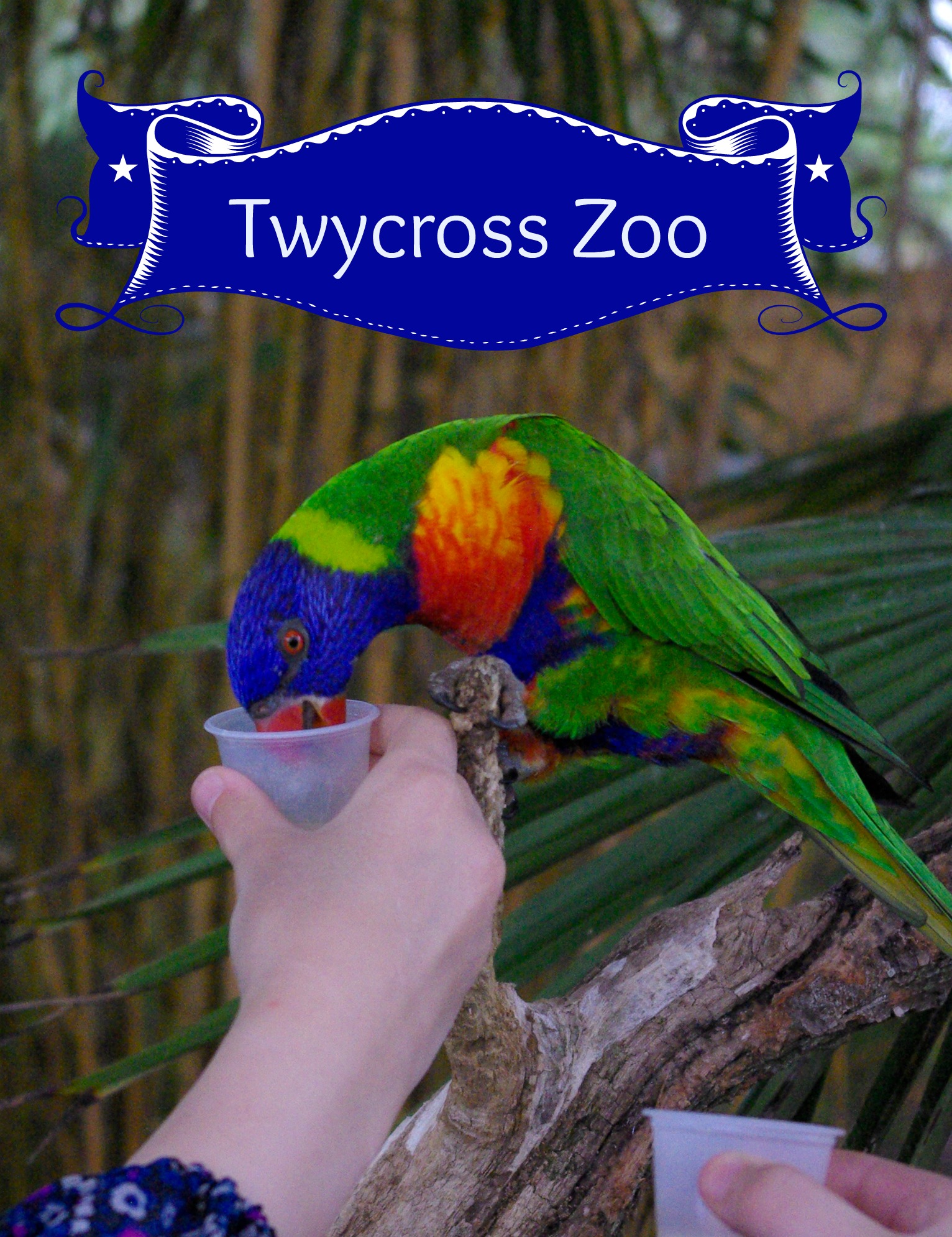 Twycross Zoo - Review