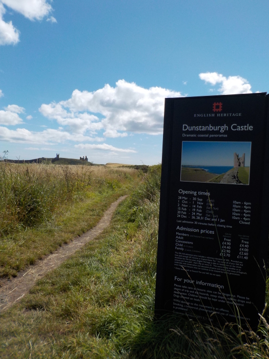 Dunstanburgh Castle from Dunstan Hill campsite