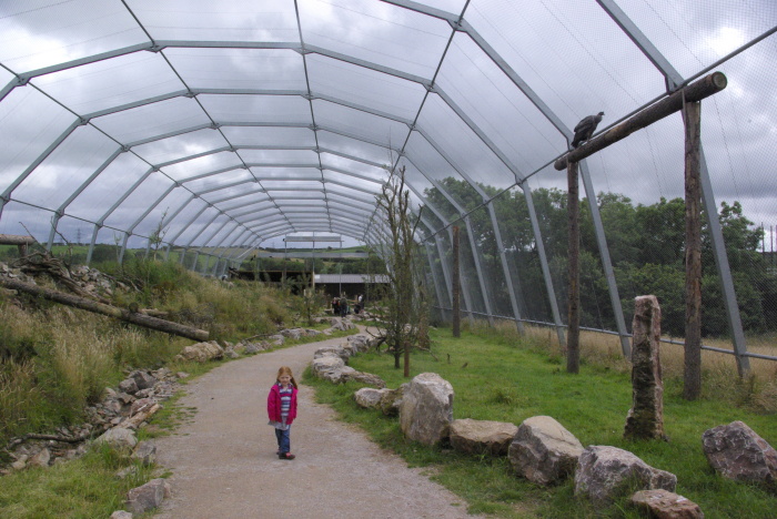 The vulture enclosure at South Lakes Safari Zoo