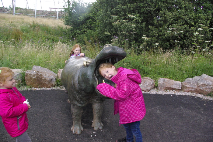 Feeding the hippo at South Lakes Safari Zoo