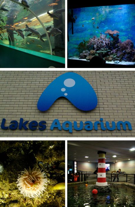 Lakes Aquarium The Lake District