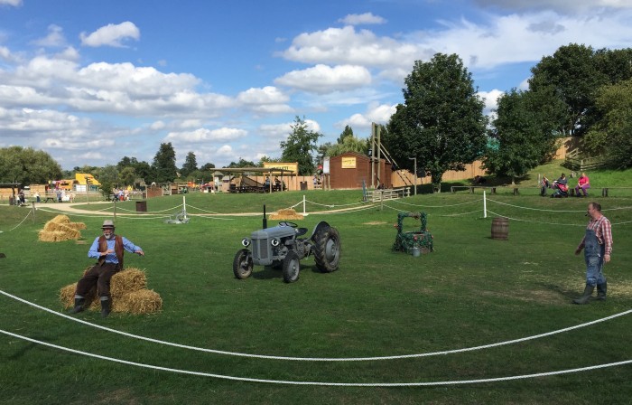 Little Grey Fergie at Willows Activity Farm