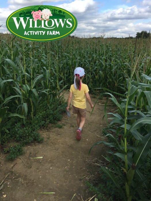 Review - Willows Activity Farm, Hertfordshire