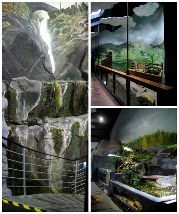 Scenery at Lakes Aquarium