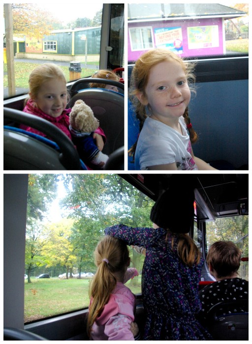 Aboard the Baboon Bus at Knowsley Safari Park