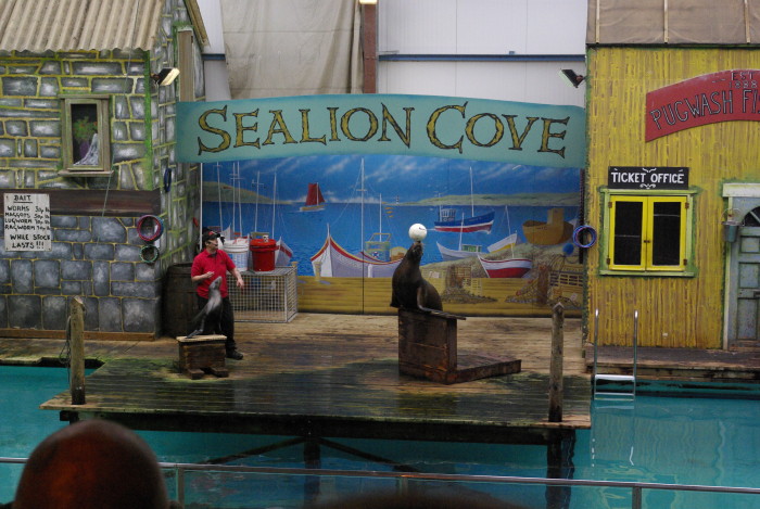 The Sea Lion show at Knowsley Safari Park