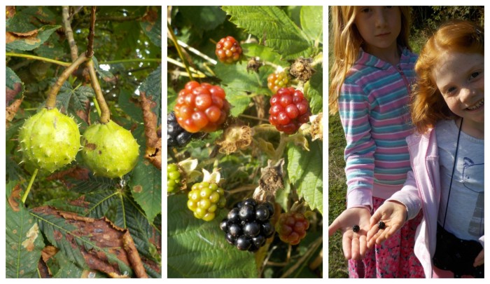 Foraging at Tophill Low East Yorkshire