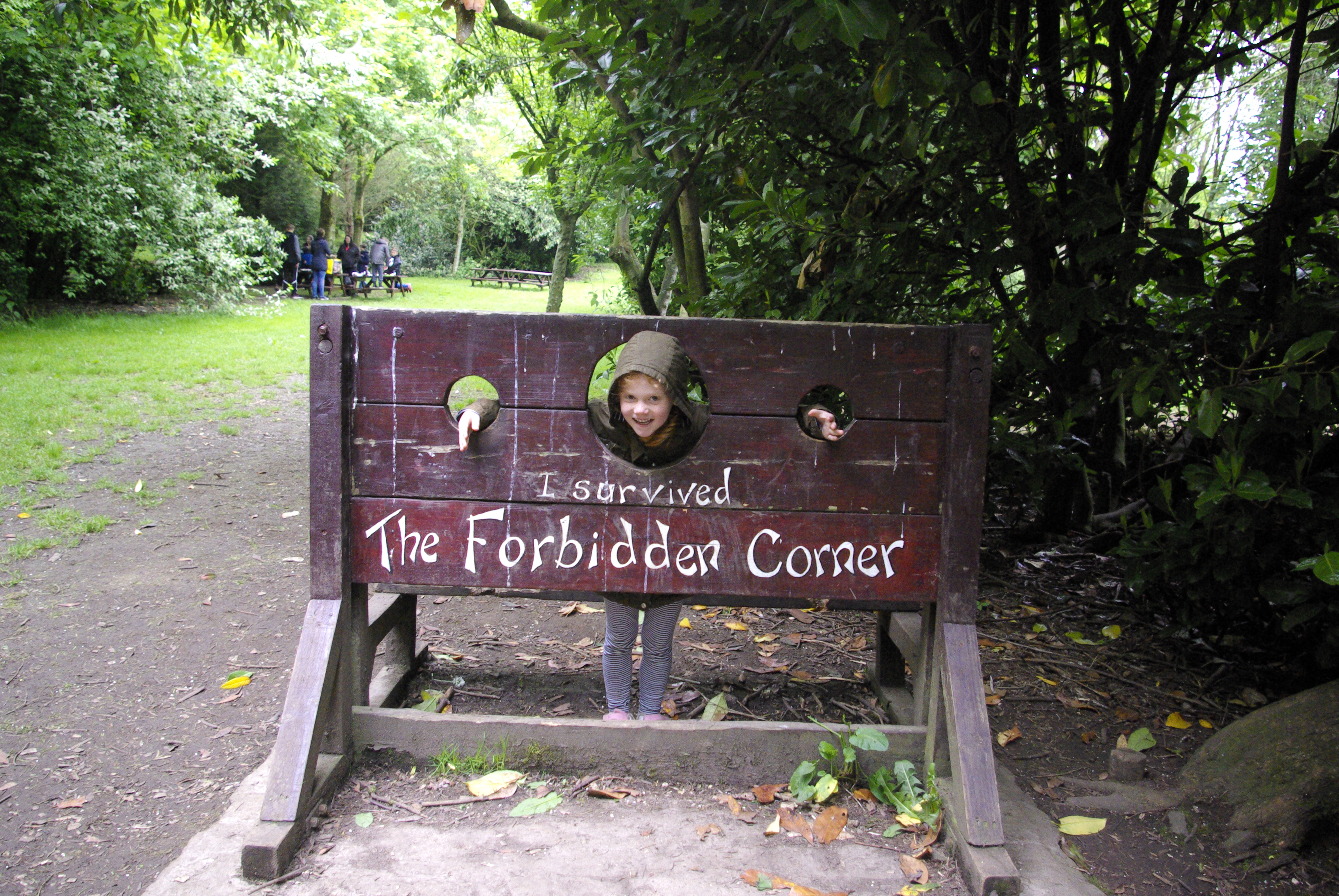 Forbidden Corner review