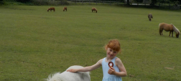 Miniature Pony Centre Devon