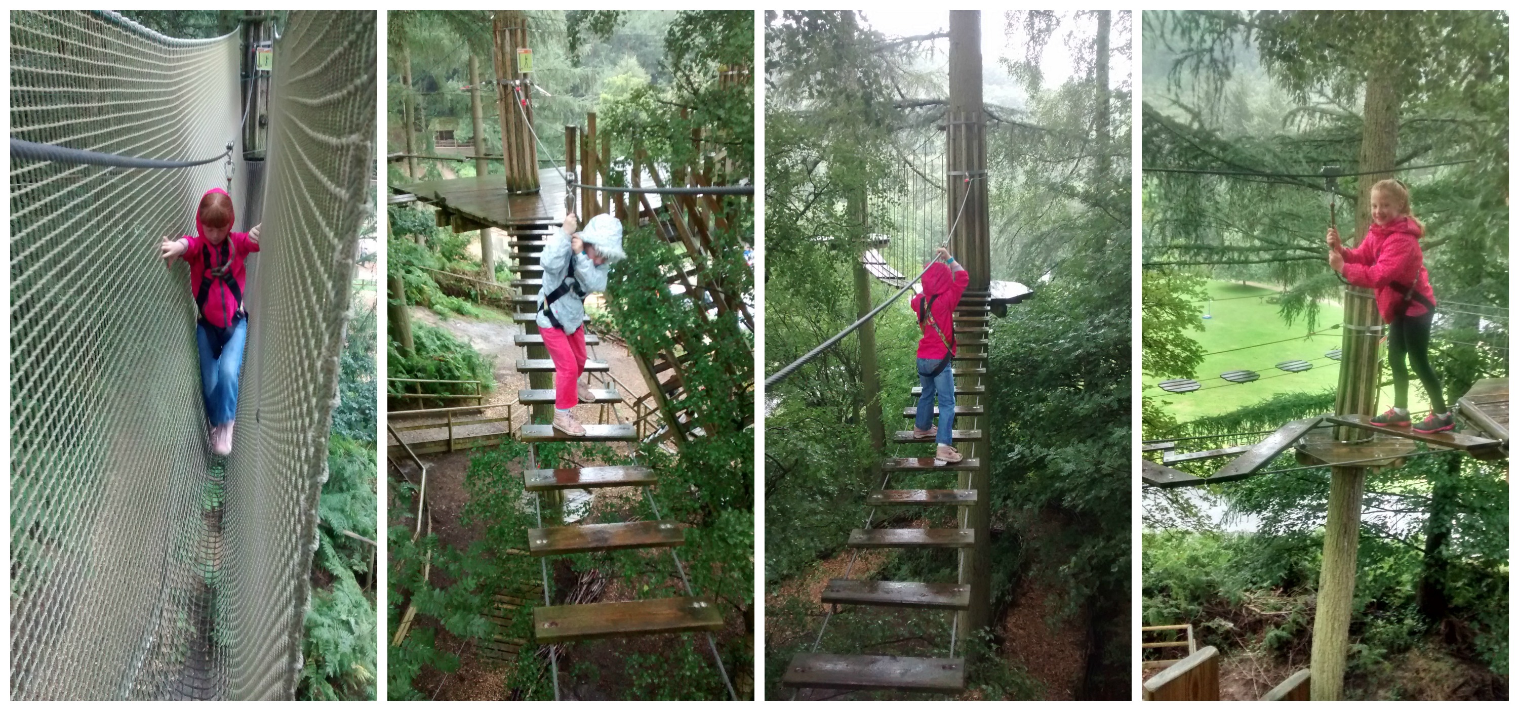 Tree top Junior at Go Ape Dalby Forest