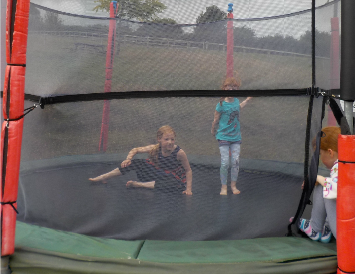 the trampolines at The Miniature Pony Centre