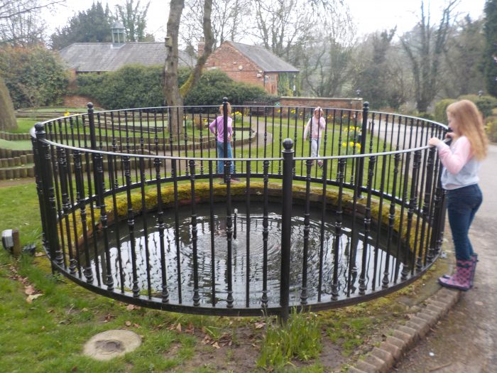 Fish pond at Sandybrook Country Park