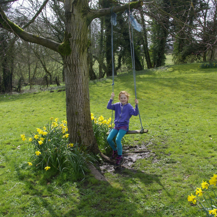 Swing in Thorpe